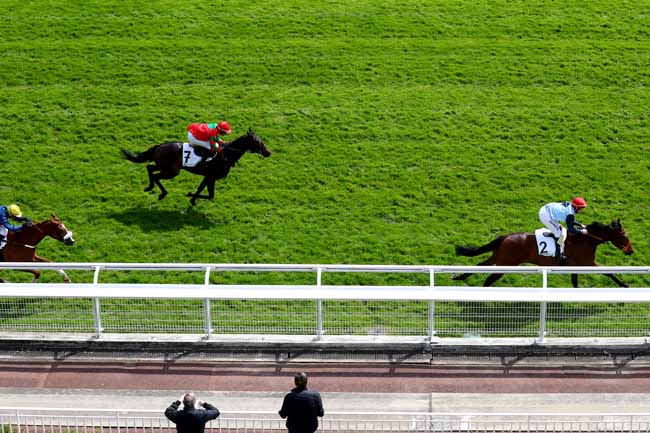 Photo d'arrivée de la course pmu PRIX WILD MONARCH à AUTEUIL le Mercredi 17 avril 2019