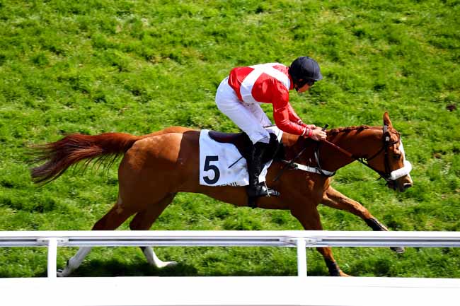 Photo d'arrivée de la course pmu PRIX CLAUDE COHEN à AUTEUIL le Mercredi 17 avril 2019