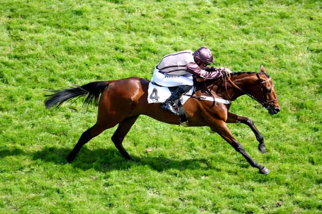 Photo d'arrivée de la course pmu PRIX ARTHUR VEIL-PICARD à AUTEUIL le Mercredi 17 avril 2019