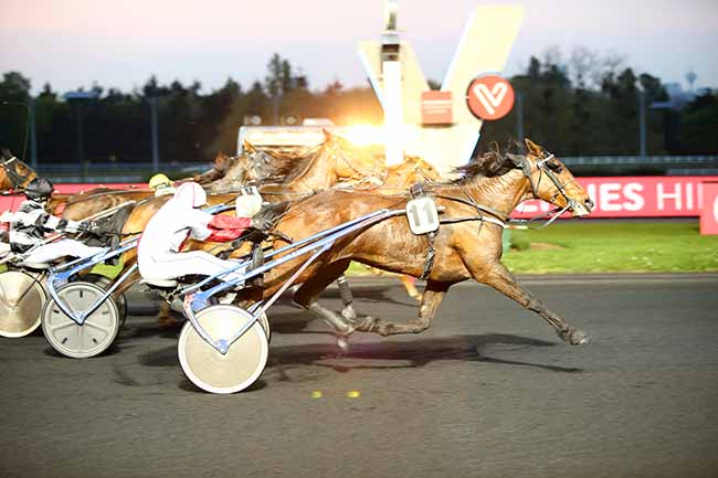 Photo d'arrivée de la course pmu PRIX MARTHA à PARIS-VINCENNES le Vendredi 19 avril 2019