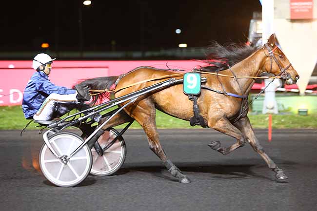 Photo d'arrivée de la course pmu PRIX PALMA à PARIS-VINCENNES le Vendredi 19 avril 2019