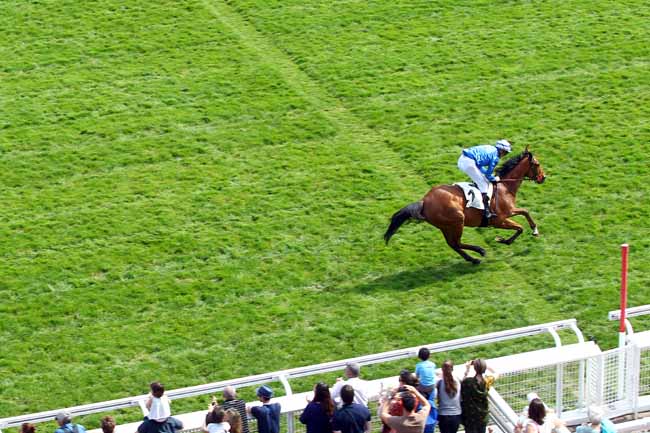 Photo d'arrivée de la course pmu PRIX WILD MONARCH à AUTEUIL le Dimanche 21 avril 2019