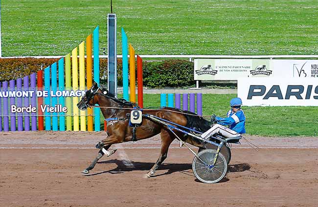 Photo d'arrivée de la course pmu PRIX D'AGEN à BEAUMONT-DE-LOMAGNE le Mercredi 24 avril 2019