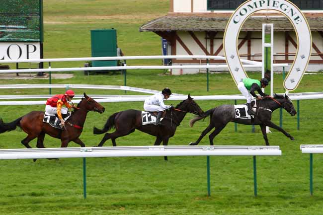 Photo d'arrivée de la course pmu PRIX DE SOSPEL à COMPIEGNE le Jeudi 25 avril 2019