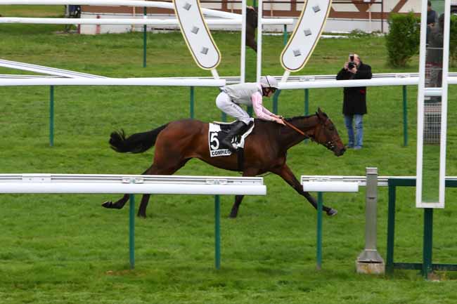 Photo d'arrivée de la course pmu PRIX DE CASTETS à COMPIEGNE le Jeudi 25 avril 2019