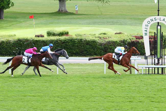 Photo d'arrivée de la course pmu PRIX RELIANCE à MAISONS-LAFFITTE le Vendredi 26 avril 2019