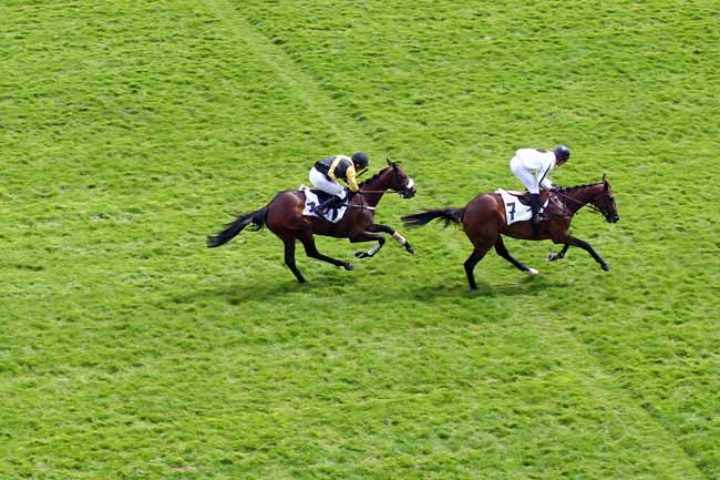 Photo d'arrivée de la course pmu PRIX GIROFLA à AUTEUIL le Samedi 27 avril 2019