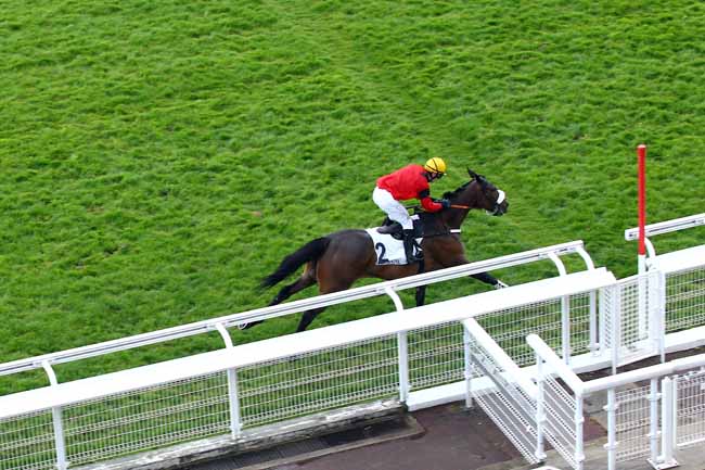 Photo d'arrivée de la course pmu PRIX AMADOU à AUTEUIL le Samedi 27 avril 2019