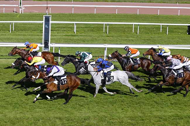 Photo d'arrivée de la course pmu PRIX DE LA VILLE DU BOUSCAT à BORDEAUX-LE BOUSCAT le Lundi 29 avril 2019