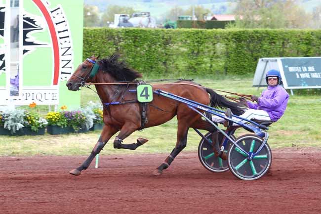 Photo d'arrivée de la course pmu PRIX DU CONSEIL DEPARTEMENTAL à SAINT GALMIER le Mardi 30 avril 2019