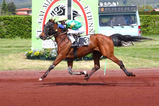 Photo d'arrivée de la course pmu PRIX ASSE à SAINT GALMIER le Mardi 30 avril 2019