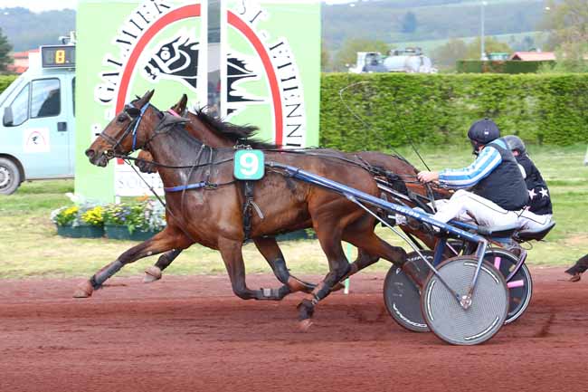 Photo d'arrivée de la course pmu PRIX CLAUDE BAYARD à SAINT GALMIER le Mardi 30 avril 2019