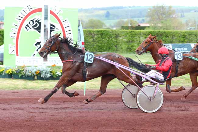 Photo d'arrivée de la course pmu PRIX DE LA VILLE DE SAINT-ETIENNE à SAINT GALMIER le Mardi 30 avril 2019