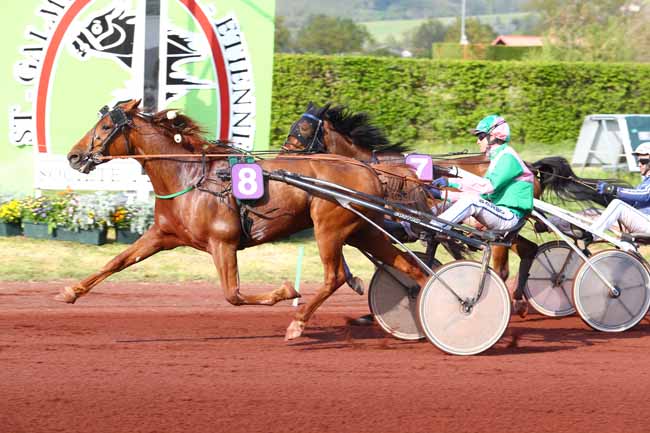 Photo d'arrivée de la course pmu PRIX FRANCE BLEU - SAINT-ETIENNE - LOIRE à SAINT GALMIER le Mardi 30 avril 2019