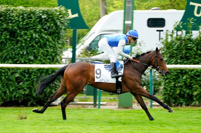 Photo d'arrivée de la course pmu PRIX DU VIADUC DE COMMELLES à CHANTILLY le Mardi 30 avril 2019