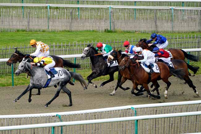 Photo d'arrivée de la course pmu PRIX DES SORBIERS à CHANTILLY le Mardi 30 avril 2019