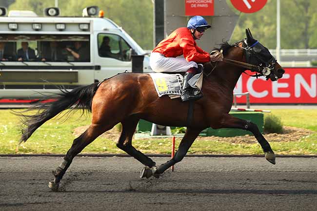 Photo d'arrivée de la course pmu PRIX RENE PALYART à PARIS-VINCENNES le Mardi 30 avril 2019