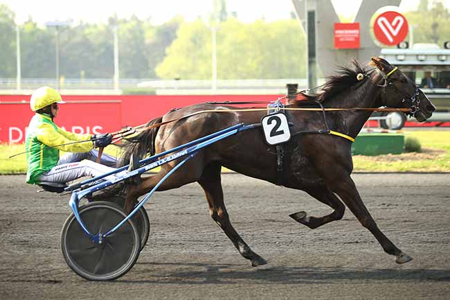 Photo d'arrivée de la course pmu PRIX VANADIS à PARIS-VINCENNES le Mardi 30 avril 2019