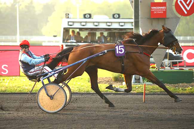 Photo d'arrivée de la course pmu PRIX ALMAK à PARIS-VINCENNES le Mardi 30 avril 2019