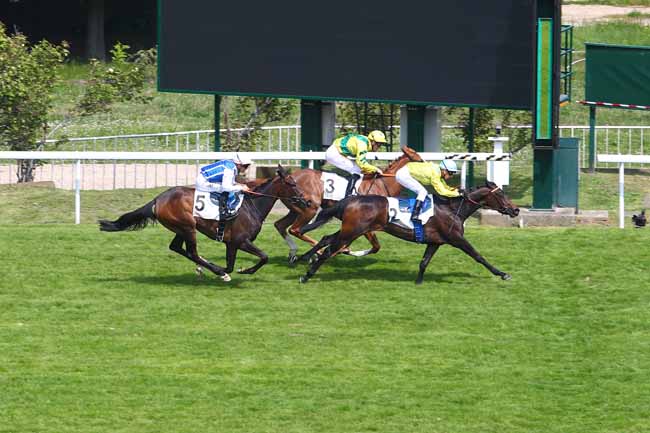 Photo d'arrivée de la course pmu PRIX PENELOPE à SAINT-CLOUD le Mercredi 1 mai 2019