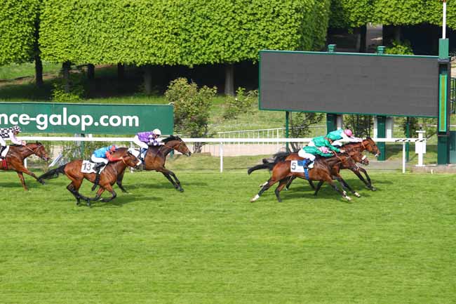 Photo d'arrivée de la course pmu PRIX BRULEUR à SAINT-CLOUD le Mercredi 1 mai 2019