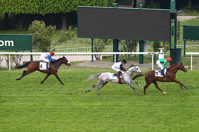 Photo d'arrivée de la course pmu PRIX MIEUXCE à SAINT-CLOUD le Mercredi 1 mai 2019