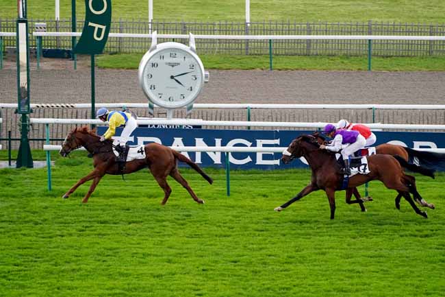 Photo d'arrivée de la course pmu PRIX DU MUSEE VIVANT DU CHEVAL à CHANTILLY le Jeudi 2 mai 2019