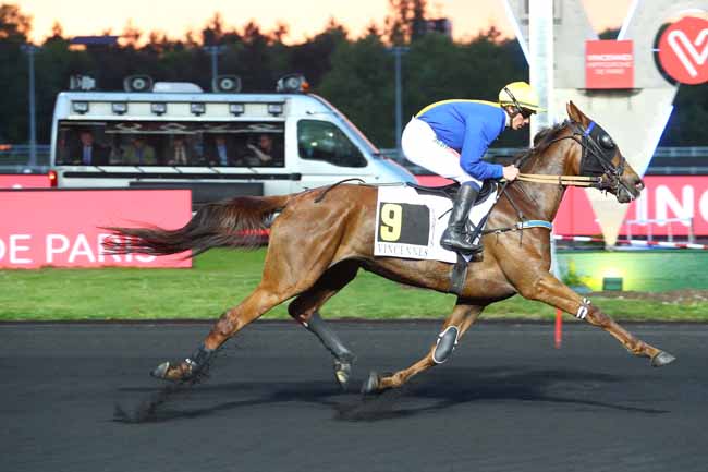 Photo d'arrivée de la course pmu PRIX FABRICIUS à PARIS-VINCENNES le Vendredi 3 mai 2019