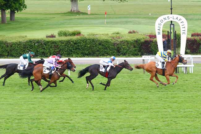 Photo d'arrivée de la course pmu PRIX DE FLINS-SUR-SEINE à MAISONS-LAFFITTE le Vendredi 3 mai 2019