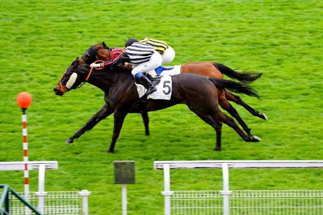 Photo d'arrivée de la course pmu PRIX DU ROND SAINTE-HELENE à MAISONS-LAFFITTE le Vendredi 3 mai 2019