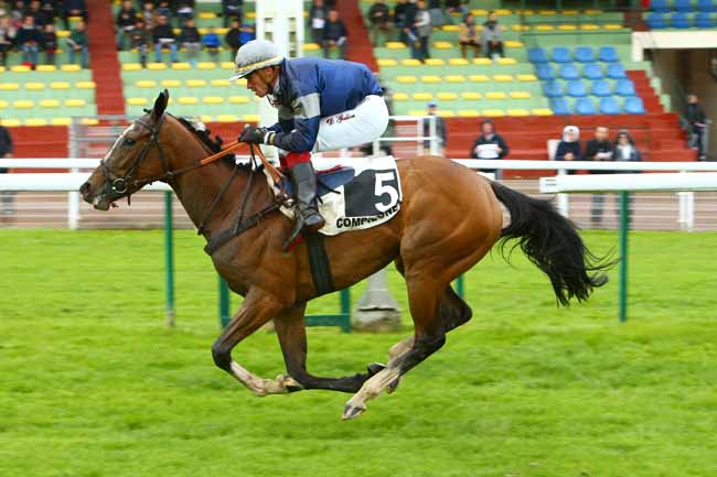 Photo d'arrivée de la course pmu PRIX ALAIN CHELET à COMPIEGNE le Dimanche 5 mai 2019