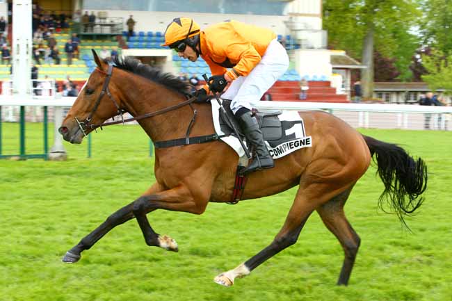 Photo d'arrivée de la course pmu PRIX DURTAIN à COMPIEGNE le Dimanche 5 mai 2019
