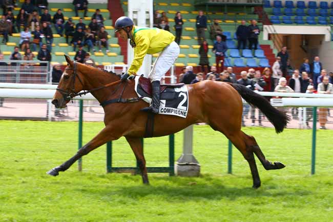 Photo d'arrivée de la course pmu PRIX DU CHER à COMPIEGNE le Dimanche 5 mai 2019