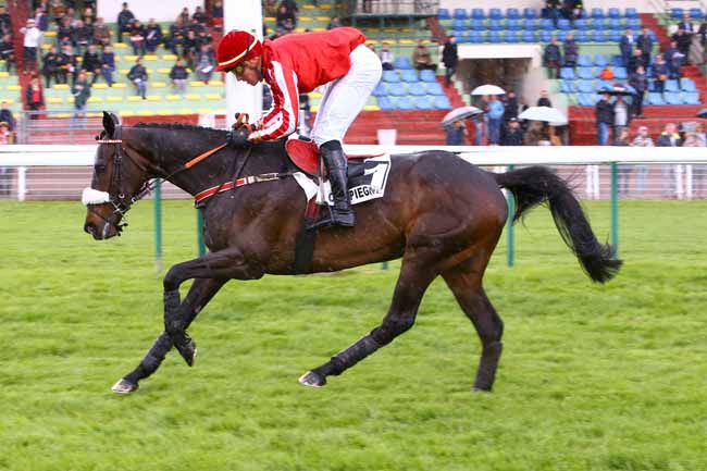 Photo d'arrivée de la course pmu PRIX BOUM à COMPIEGNE le Dimanche 5 mai 2019