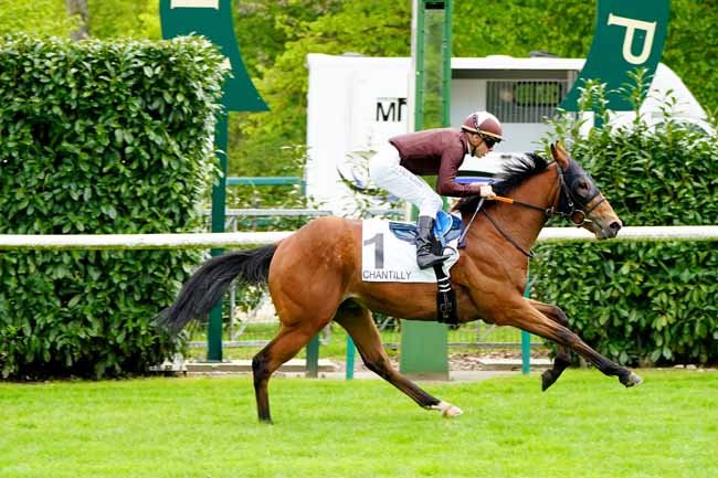 Photo d'arrivée de la course pmu PRIX DU CEDRE à CHANTILLY le Lundi 6 mai 2019