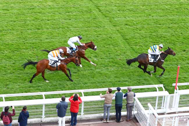 Photo d'arrivée de la course pmu PRIX DE LA VANOISE à AUTEUIL le Lundi 6 mai 2019