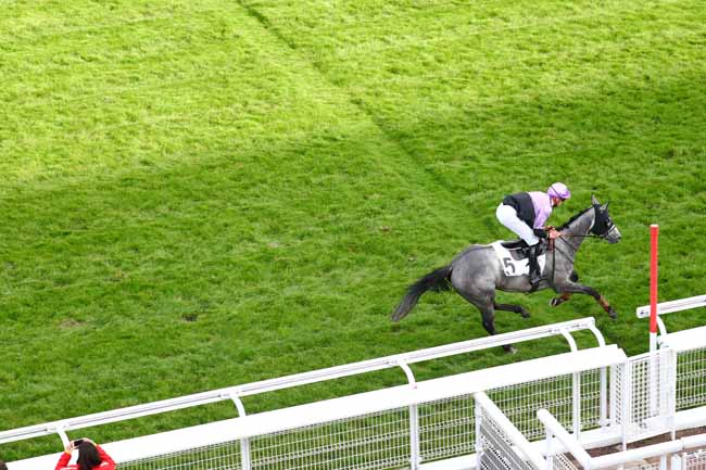 Photo d'arrivée de la course pmu PRIX FAUCHE LE PRE à AUTEUIL le Lundi 6 mai 2019