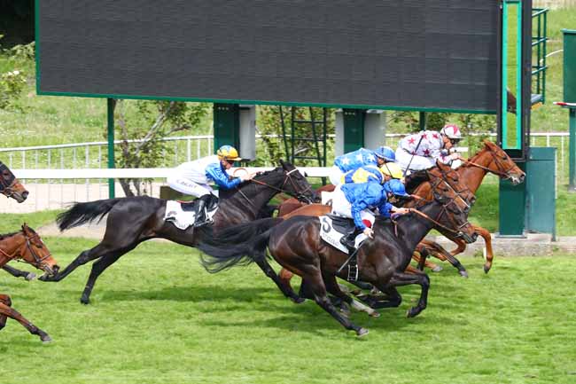 Photo d'arrivée de la course pmu PRIX GAZALA à SAINT-CLOUD le Mardi 7 mai 2019
