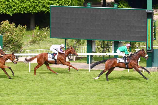 Photo d'arrivée de la course pmu PRIX YOUTH à SAINT-CLOUD le Mardi 7 mai 2019