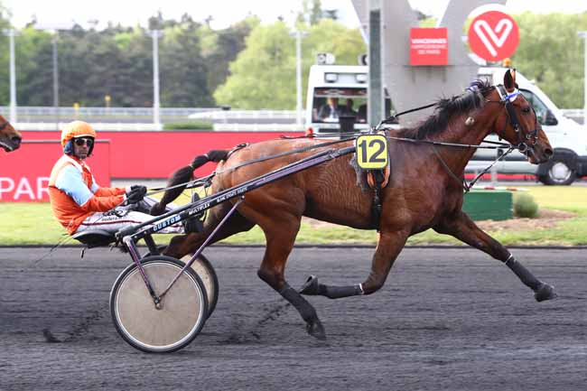 Photo d'arrivée de la course pmu PRIX HAPATIA à PARIS-VINCENNES le Mardi 7 mai 2019
