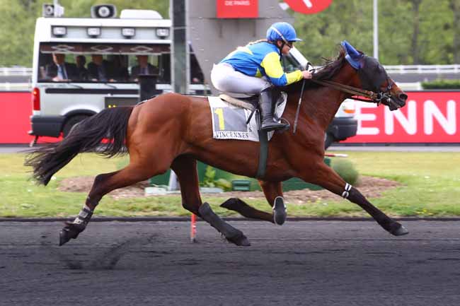 Photo d'arrivée de la course pmu PRIX ICLEA à PARIS-VINCENNES le Mardi 7 mai 2019