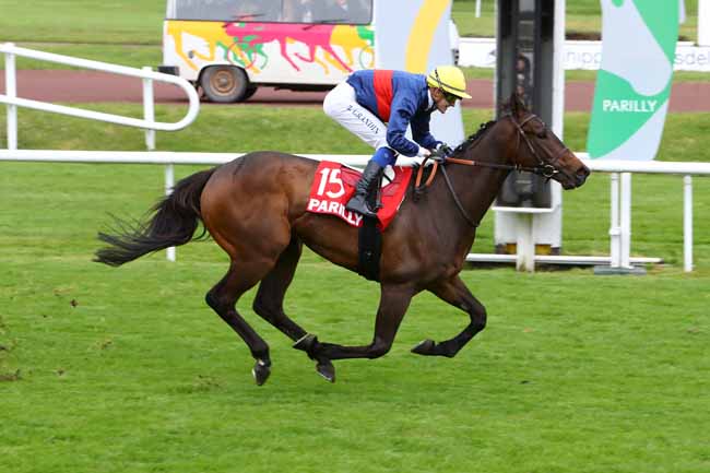 Photo d'arrivée de la course pmu PRIX DE PARILLY à LYON-PARILLY le Mercredi 8 mai 2019