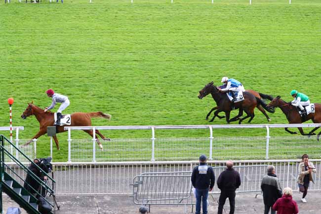 Photo d'arrivée de la course pmu PRIX BALBONELLA à MAISONS-LAFFITTE le Jeudi 9 mai 2019