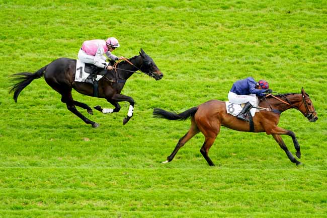 Photo d'arrivée de la course pmu PRIX REGALIA à AUTEUIL le Vendredi 10 mai 2019