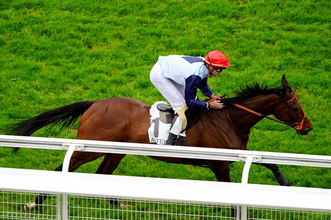 Photo d'arrivée de la course pmu PRIX DU VIVARAIS à AUTEUIL le Vendredi 10 mai 2019