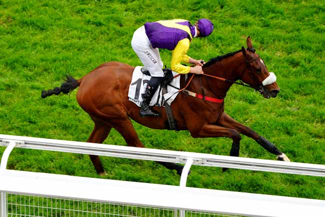Photo d'arrivée de la course pmu PRIX DE POUILLY à AUTEUIL le Vendredi 10 mai 2019