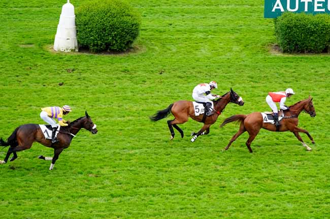 Photo d'arrivée de la course pmu PRIX LA VEINE à AUTEUIL le Vendredi 10 mai 2019