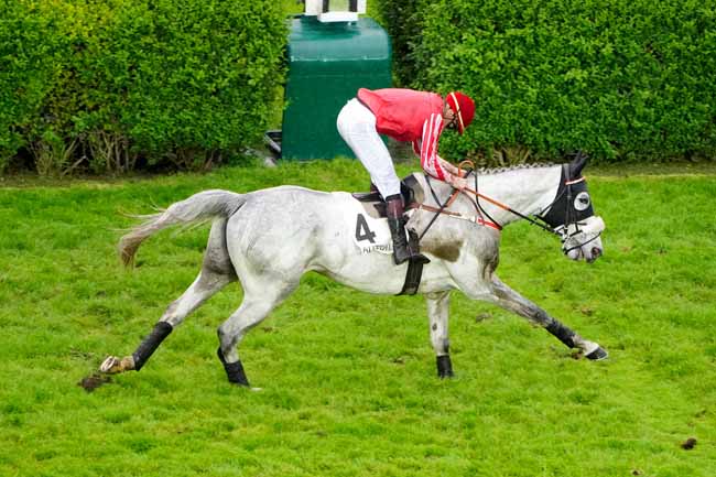 Photo d'arrivée de la course pmu PRIX GUILLAUME JAVOY à AUTEUIL le Vendredi 10 mai 2019