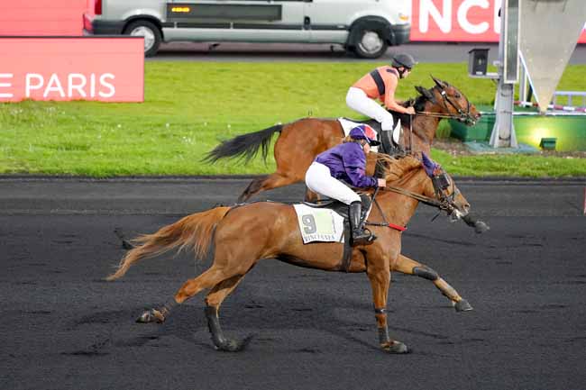 Photo d'arrivée de la course pmu PRIX DE VIRY-CHATILLON à PARIS-VINCENNES le Samedi 11 mai 2019