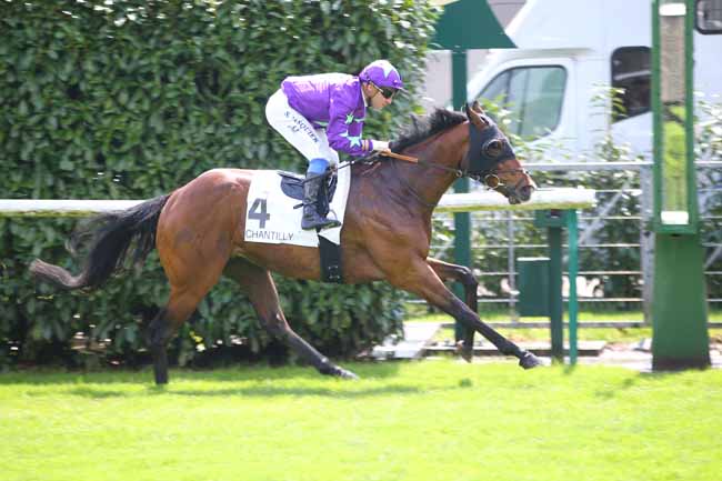 Photo d'arrivée de la course pmu PRIX DU CHAUDRON à CHANTILLY le Samedi 11 mai 2019